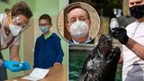 Přehledně: Tohle se dnes mění. Otevřou školy, obchody i trhy, ale schůzky nejvýš ve dvou
