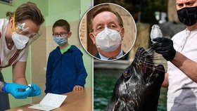 Přehledně: Tohle se dnes mění. Otevřou školy, obchody i trhy, ale schůzky nejvýš ve dvou