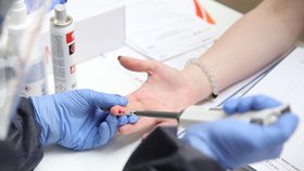 Testování na koronavirus v ČR 