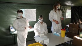 Testování na koronavirus v ČR