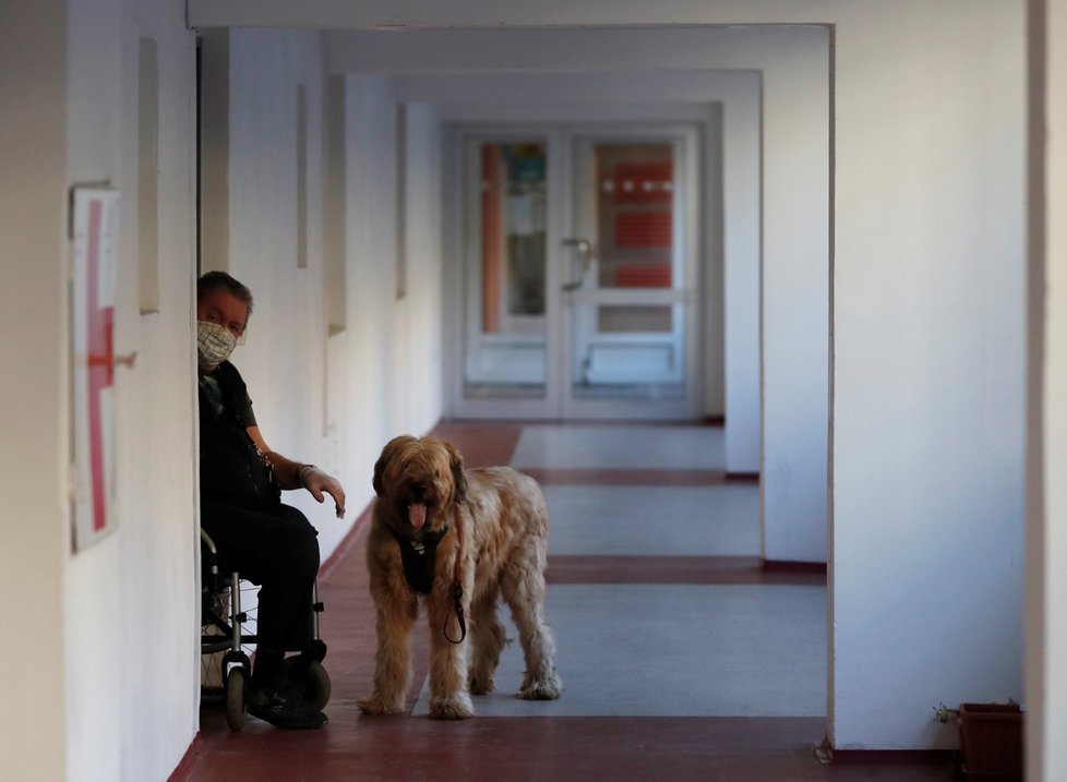 Dobrovolníci v Praze nakupují seniorům i zdravotně postiženým. Někteří jim i venčí psy. (24. 3. 2020)