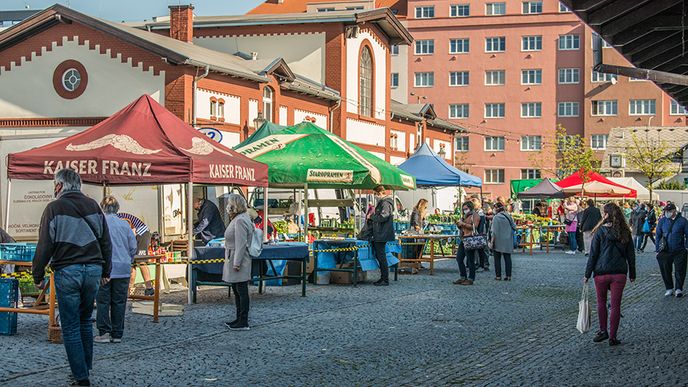 Od úterý si lidé mohou opět nakoupit ovoce, zeleninu i třeba sýry v Pražské tržnici