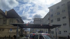 Přes 250 pacientů prozatím využilo poradnu pro poruchy čichu a chuti pro pacienty po nemoci covid-19, kterou zřídila Fakultní nemocnice u svaté Anny v Brně.