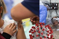 Studie na 22 milionech lidí ukázala: Jednoznačná data o efektu koronavirového očkování