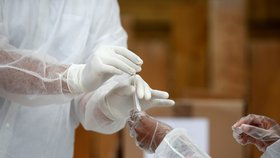 Testování na koronavirus ve Francii