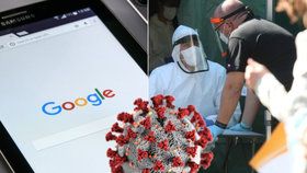 Lepší než epidemiologové: Nová ohniska viru může předpovědět Google, ale už se i spletl