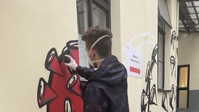 Student Michal Pavlík nabídl vedení Fakultní nemocnice u svaté Anny, že zeď u jednoho z odběrových center covidu pokryje graffiti. Motivem se staly viry covidu, zapletené v jeho pojetí DNA.