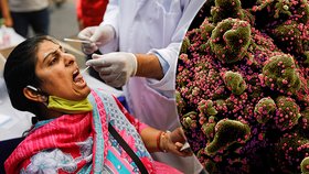 Indičtí vědci objevili „dvojitou mutaci“, zatím se nezdá být nebezpečnější než známé varianty koronaviru