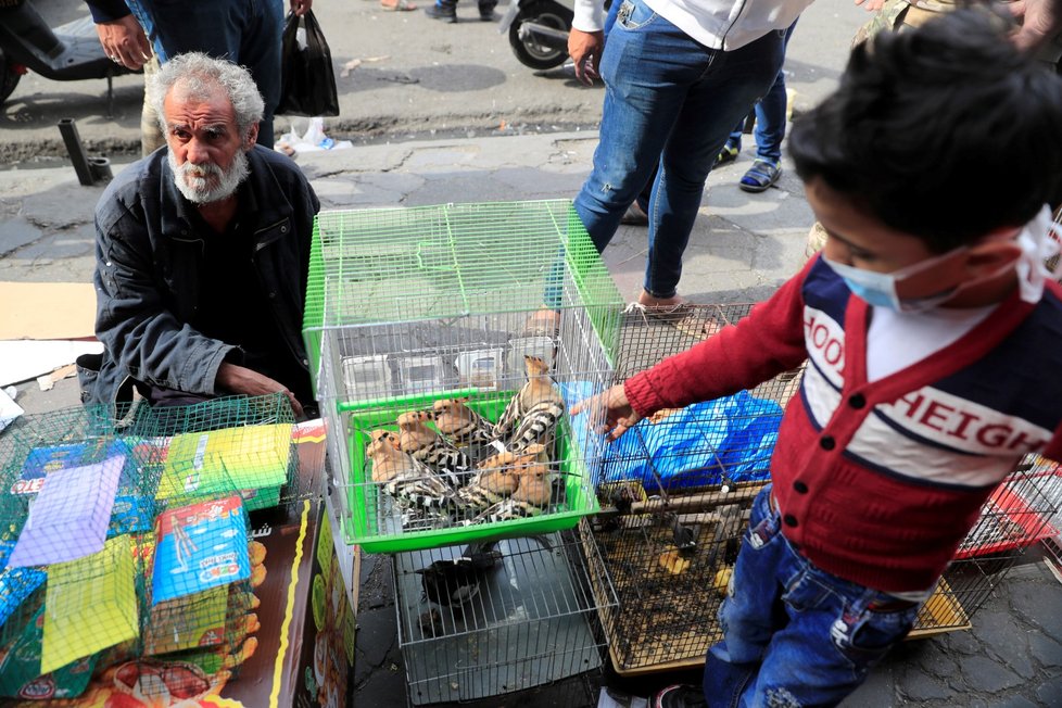 Lidé s rouškami na trhu se zvířaty v Bagdádu