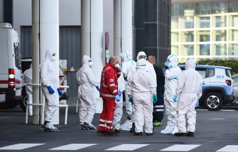 Kočka z Hongkongu v karanténě: Koronavirus se nevyhýbá ani zvířatům