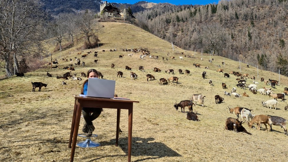 Netradiční online výuku má desetiletá Fiammetta z italského města Caldes. Učí se na pastvě.