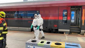 Ve vlaku, který přijel z Vídně do Prahy, jeli cizinci s kašlem. Naběhli na ně hygienici, policie i hasiči