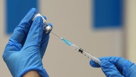 Brno chce očkovat proti koronaviru v záložní nemocnici na výstavišti.