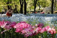 Dovolená zadarmo. Japonsko přišlo s plánem, jak po pandemii dostat zpátky turisty