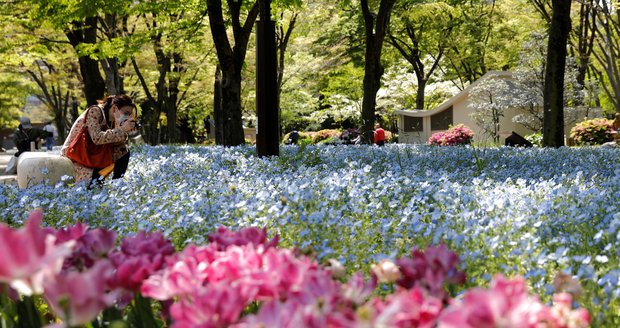 Dovolená zadarmo. Japonsko přišlo s plánem, jak po pandemii dostat zpátky turisty