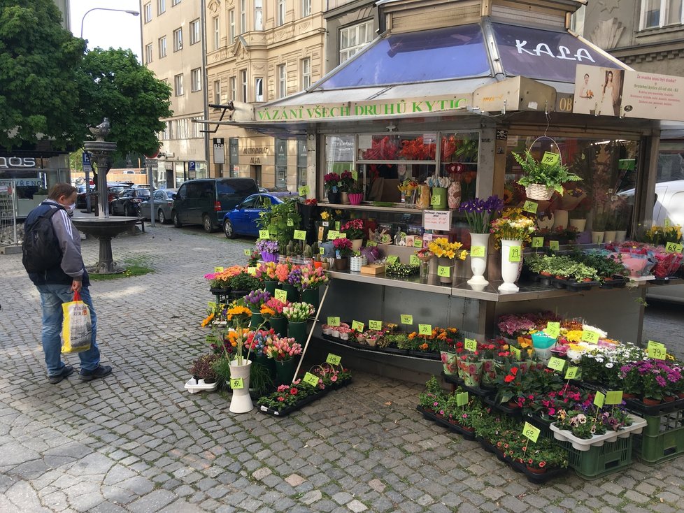 Centrum Brna výrazně ožilo i díky otevření většiny obchodů.