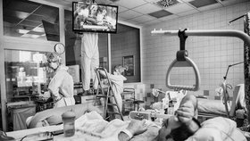 Fotoreportérka Alžběta Jungrová nafotila ve Všeobecné fakultní nemocnici pacienty, kteří onemocněli koronavirem.