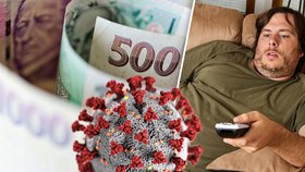 Izolačka se prodlouží do konce června. Bonus 370 korun denně čeká už jen na podpis Zemana