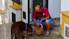 Rozestupy při nákupu Kolumbijcům pomáhá dodržovat pes Eros