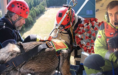 Psi dokážou odhalit koronavirus, potvrdil český kynolog! A popsal přísné bezpečnostní podmínky