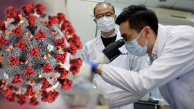 Čína brání vyšetřování původu koronaviru. Expertům nevydala důležitá povolení