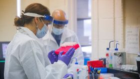 Výzkum koronaviru: Laboratoř v USA