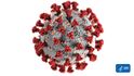 Koronavirus pod mikroskopem: Takhle vypadá buňka obávaného viru