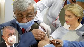 Evropská komise oznámí dodávku vakcíny firmy Pfizer navíc, Česko by podle Babiše mělo dostat 80 000 dávek