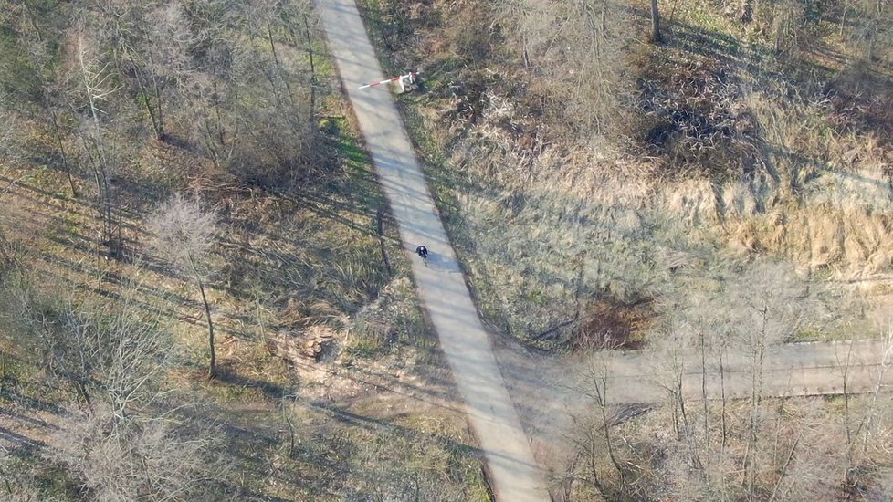 Policie a armáda střežila hranice zakázané karanténní zóny na Litovelsku a Uničovsku.