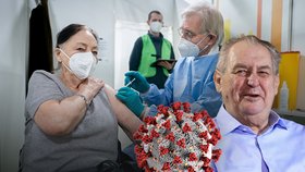 Stejně jako prezident Miloš Zeman věří v Německu v brzký konec pandemie.