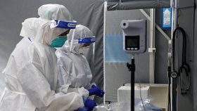 Vývoj pandemie koronaviru: Svět vystrašila nová mutace omikron, dává ale i naději (3. 12. 2021).