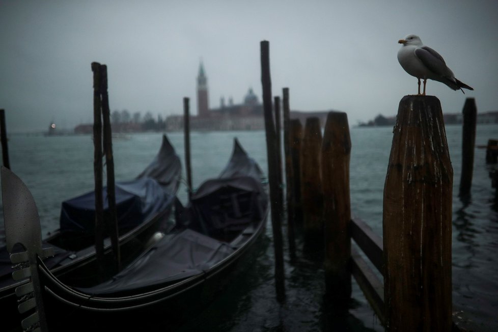 Benátky jsou téměř vylidněné kvůli hrozbě koronaviru (28.2.2020).