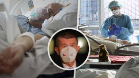 Pacienti s koronavirem v nemocnicích napříč Evropou a český premiér v demisi Andrej Babiš (ANO)