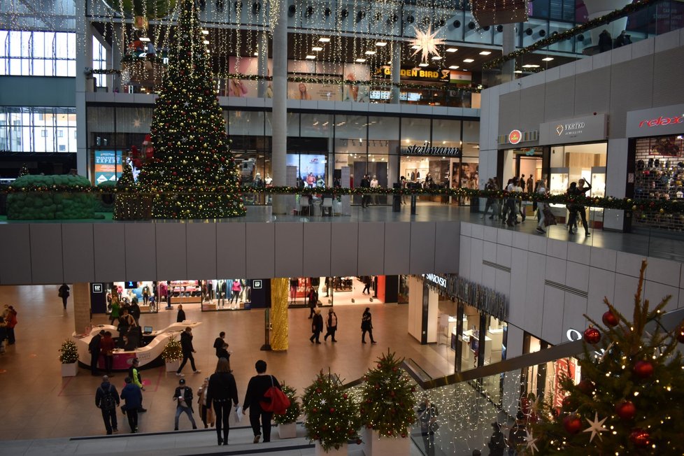 Češi poslední víkend před Štědrým dnem zaplnili obchodní centra (19.12. 2020)