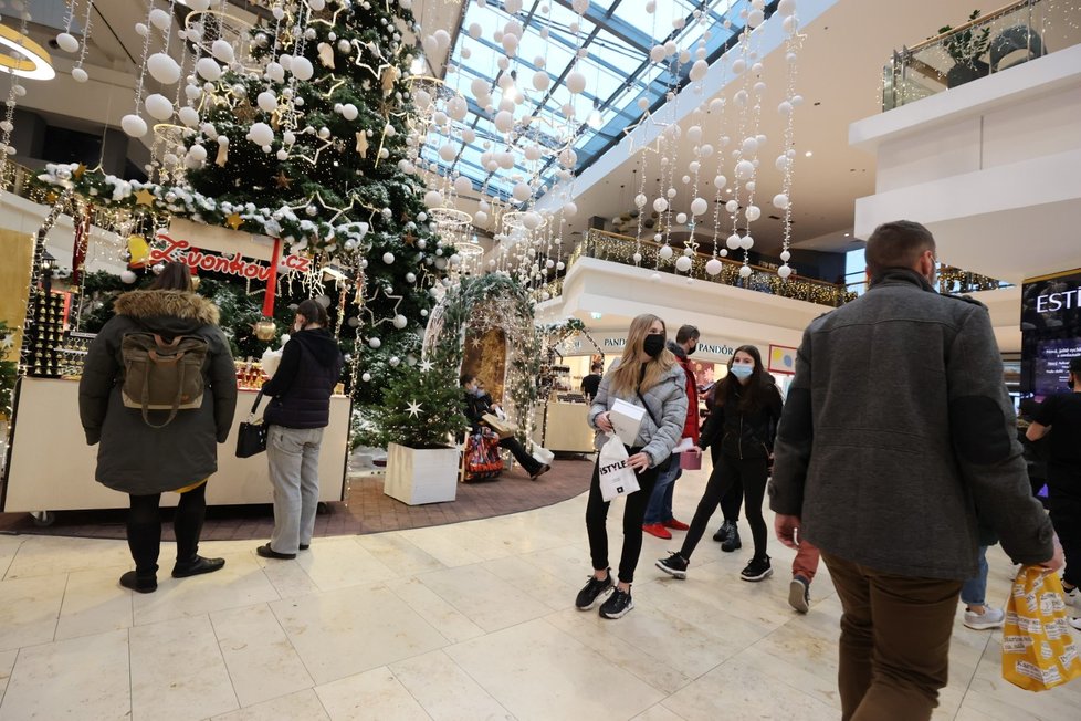 Češi poslední víkend před Štědrým dnem zaplnili obchodní centra (19.12. 2020)