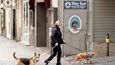 Žena venčí psy v ulicích Neapole