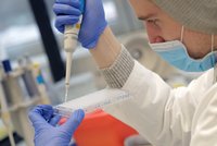 V Česku se rozmáhá mutace delta: Virus chce být odolnější vůči hostiteli, říká expertka