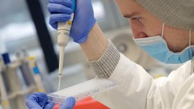 Sekvenování vzorků na mutace koronaviru v Německu.