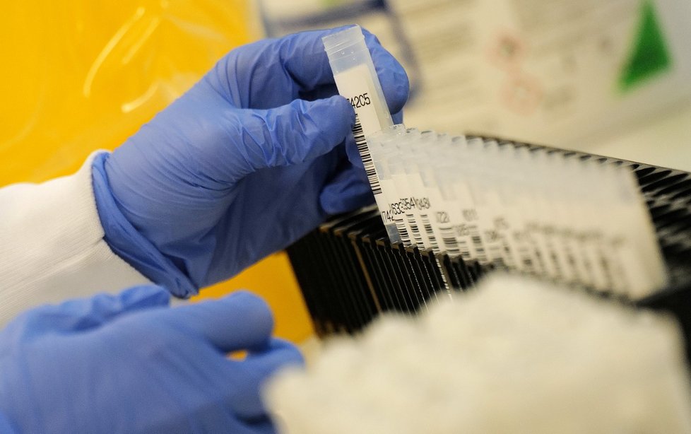 Sekvenování vzorků na mutace koronaviru v Německu