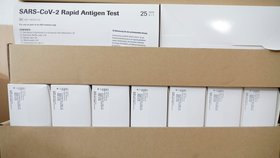 Antigenní testy pro školáky v Německu.