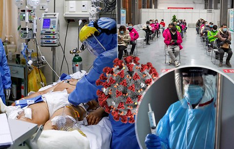 Rok s koronavirem: Co o něm víme a co pořád ještě ne?
