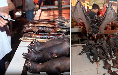 Pečení netopýři, syroví hadi, tisíce psů: Lidé volají po zákazu „mokrých trhů“ v Asii