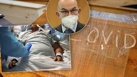 V Česku loni dramaticky přibylo mrtvých. Statistici ukázali mnohem vyšší čísla než Blatný