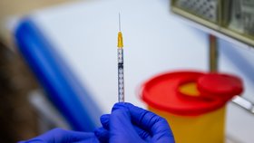 Očkování proti koronaviru na Královéhradecku (2. 1. 2021)