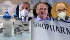 Spor o vakcíny v Česku: Blatný proti všem?
