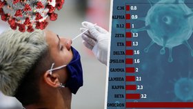 Omikron několikanásobně snáz obchází imunitní procesy, ukazuje nový graf. Jak to bude s pandemií do budoucna?