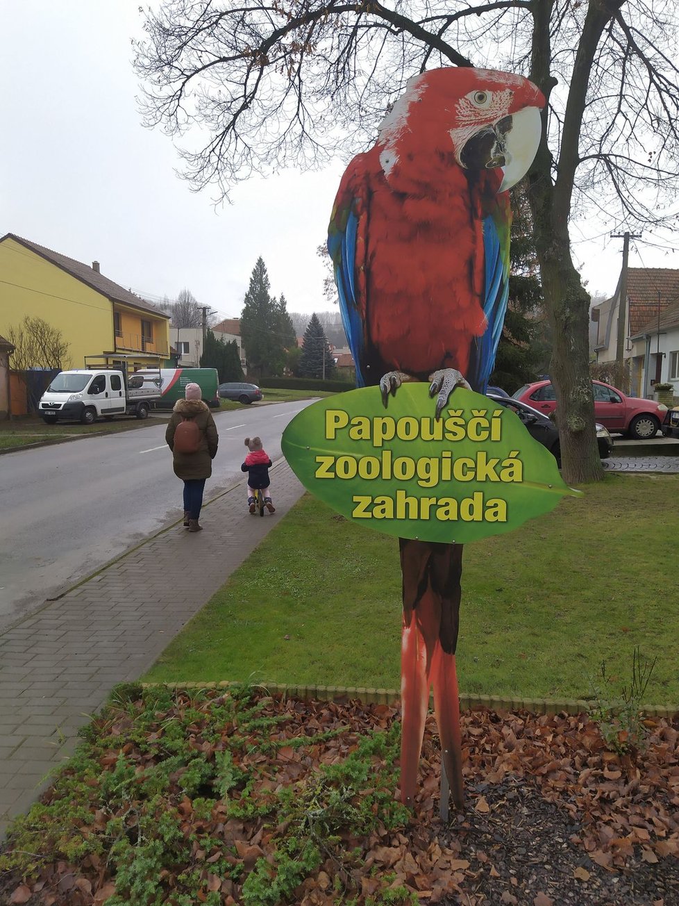 Koronavirus postihl i jedinou středoevropskou papouščí zoo v Bošovicích na Vyškovsku. Ta měla mít otevřeno až do poloviny listopadu.