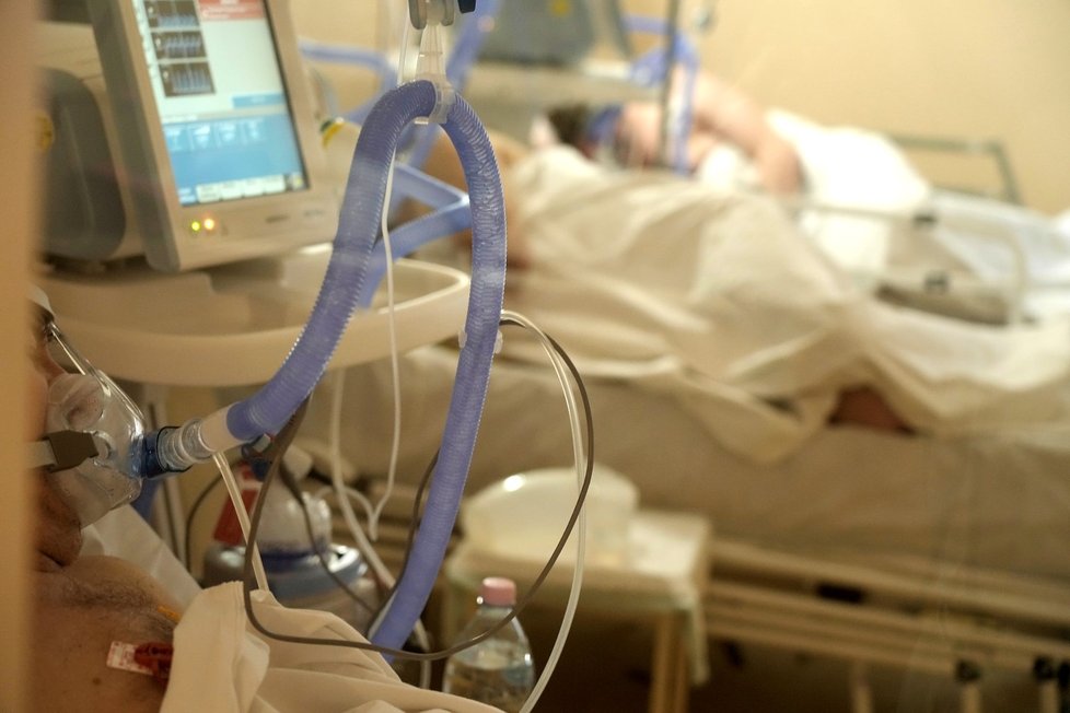 Koronavirus v Polsku Koronavirus v Polsku