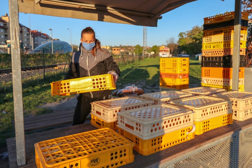 20. 4. se za bezpečnostních opatření znovu otevřely farmářské trhy (20.4. 2020)