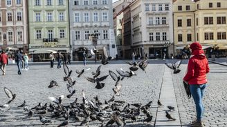 Zákaz vycházení bez ochrany obličeje. Potraviny budou moci dopoledne nakupovat jen důchodci